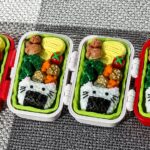aesthetic kawaii bento box
