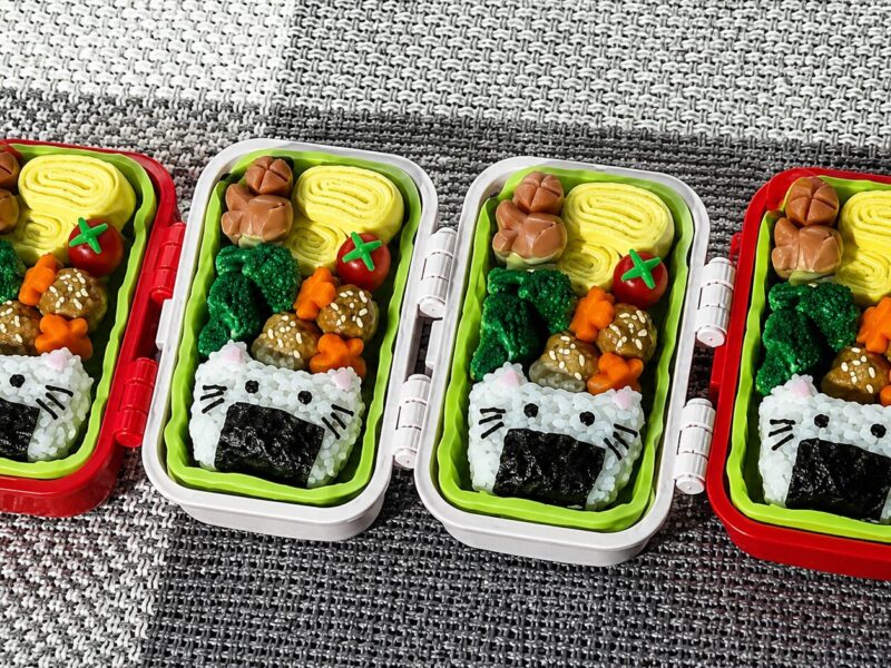 aesthetic kawaii bento box