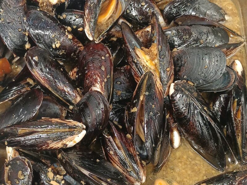 mussels in garlic white wine sauce