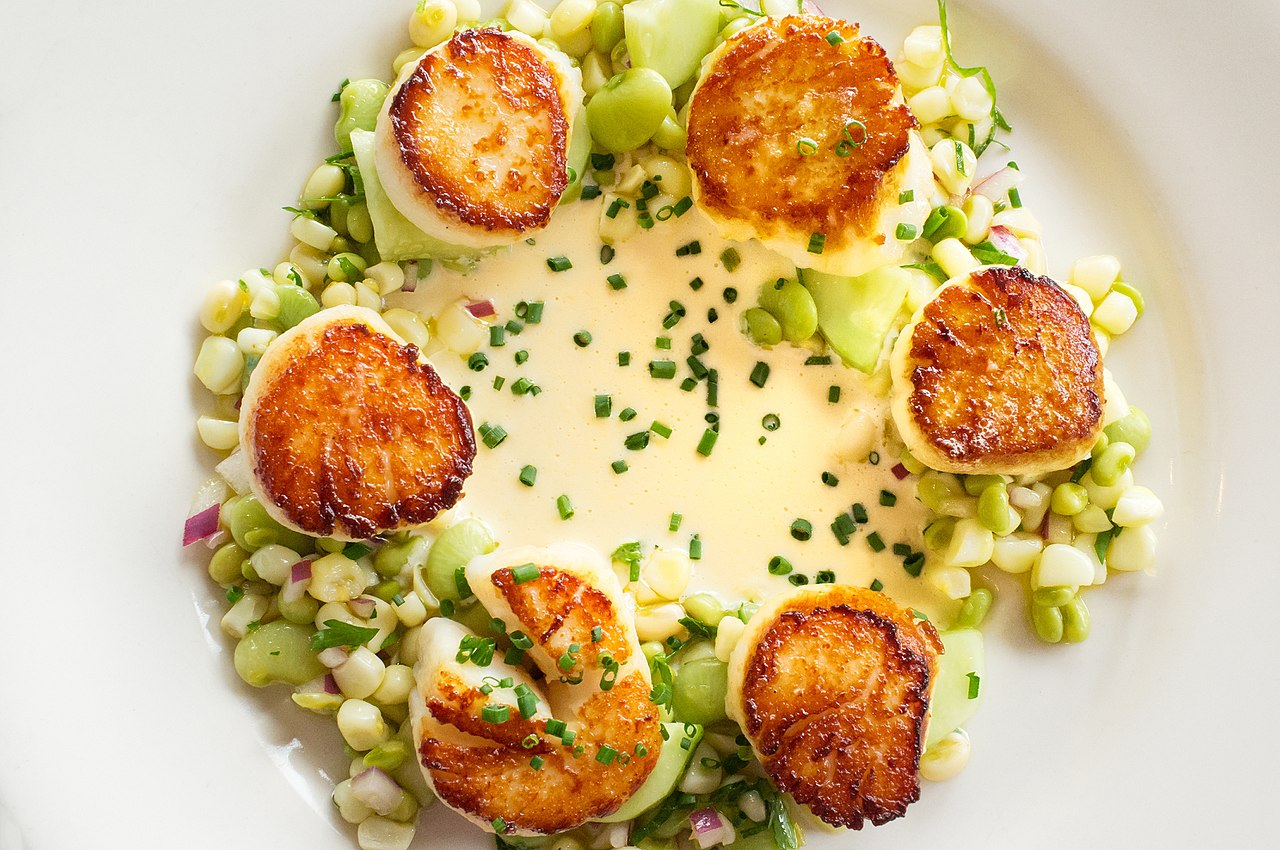 Six pan-seared sea scallops with a deep golden crust arranged around a plate of corn and lima bean succotash