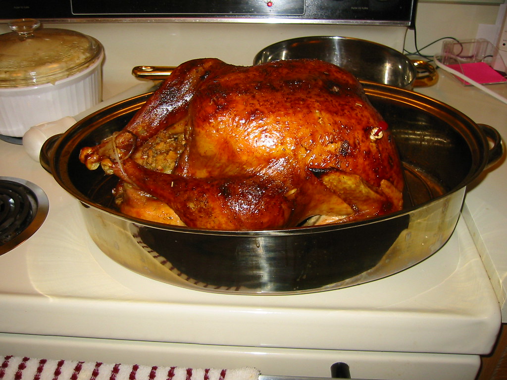 A golden-brown roasted whole turkey in an oval stainless roasting pan on a stovetop