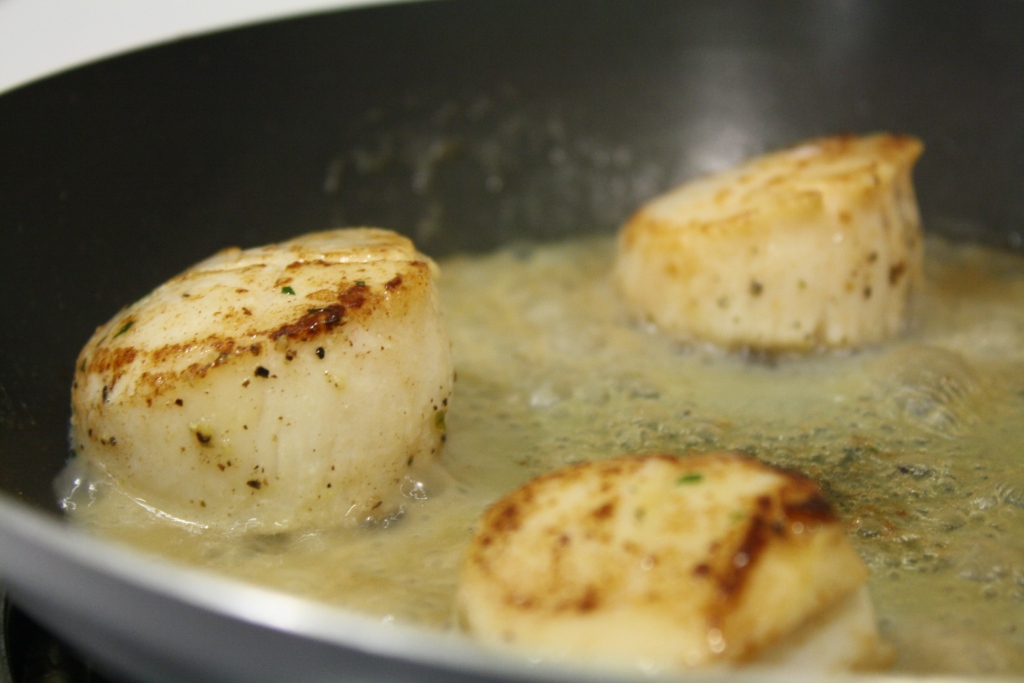 Sea scallops searing in foaming butter in a skillet