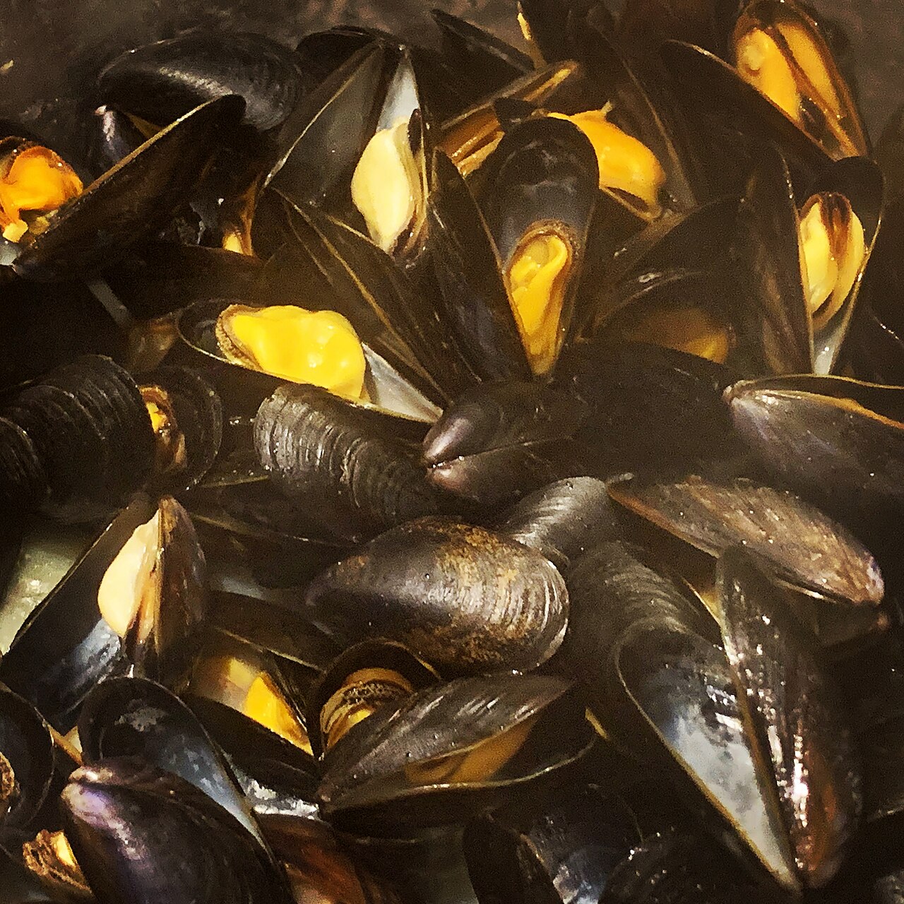 Close-up of steamed mussels in a pot with their shells open showing plump orange meat