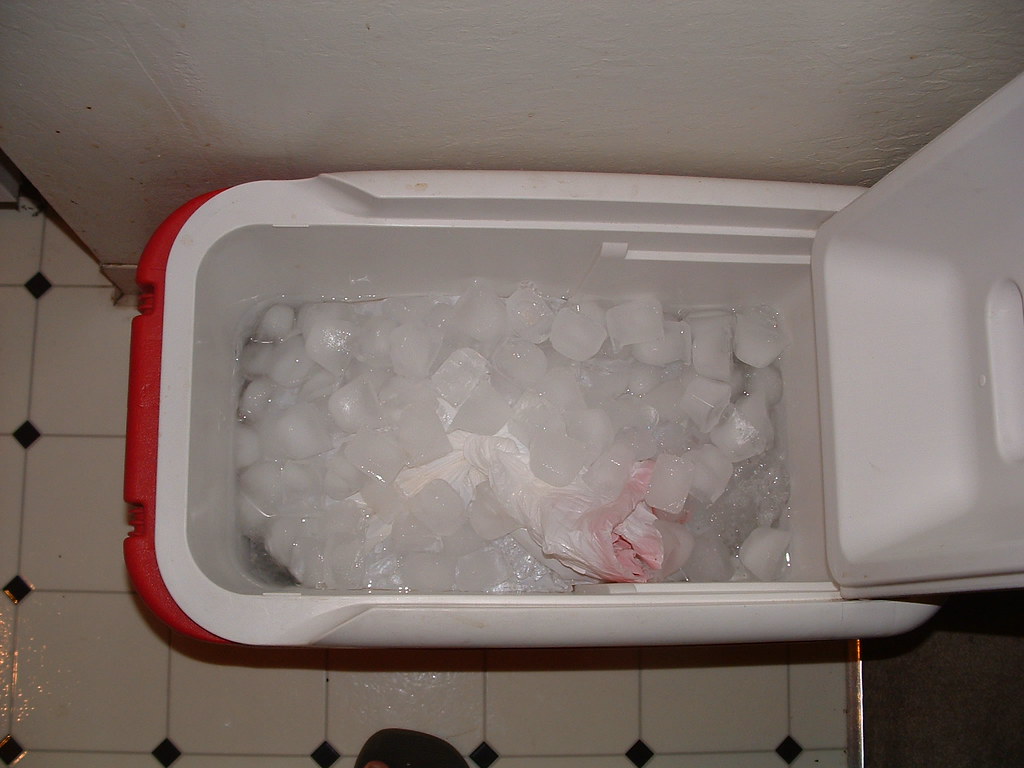Top-down view of an open red and white picnic cooler packed with ice cubes around a turkey sealed in a plastic bag